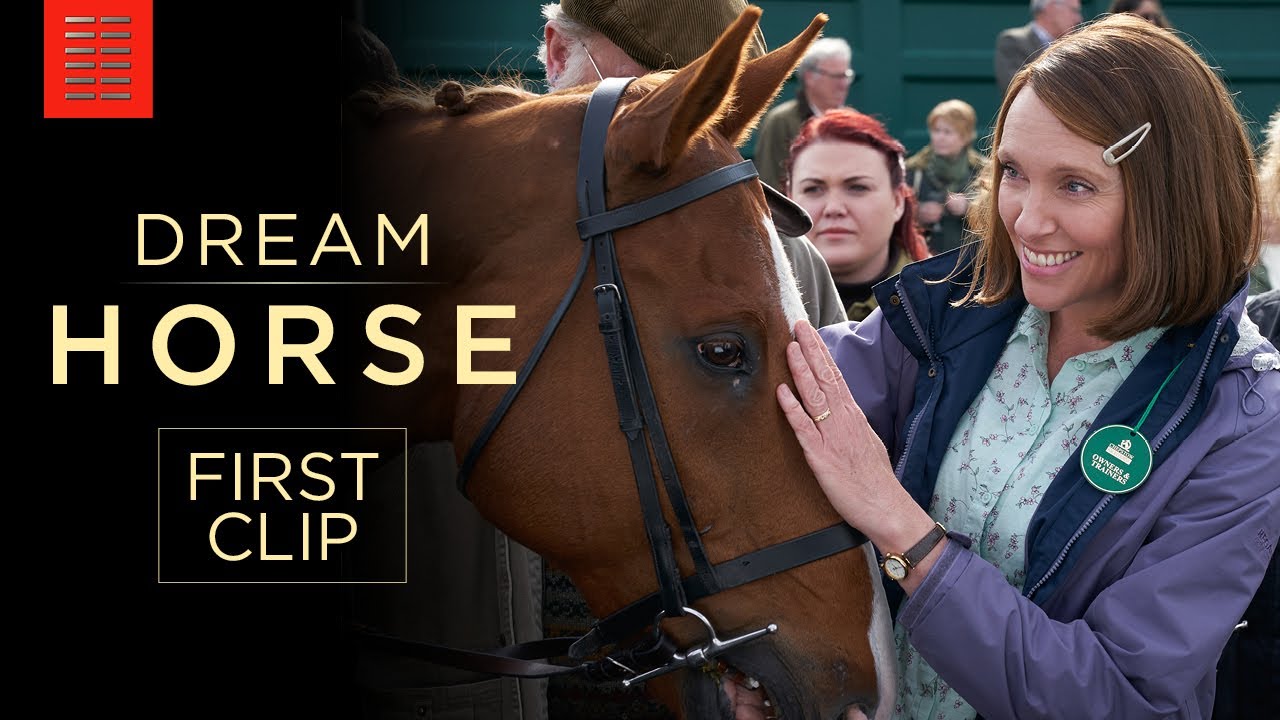 DREAM HORSE | 