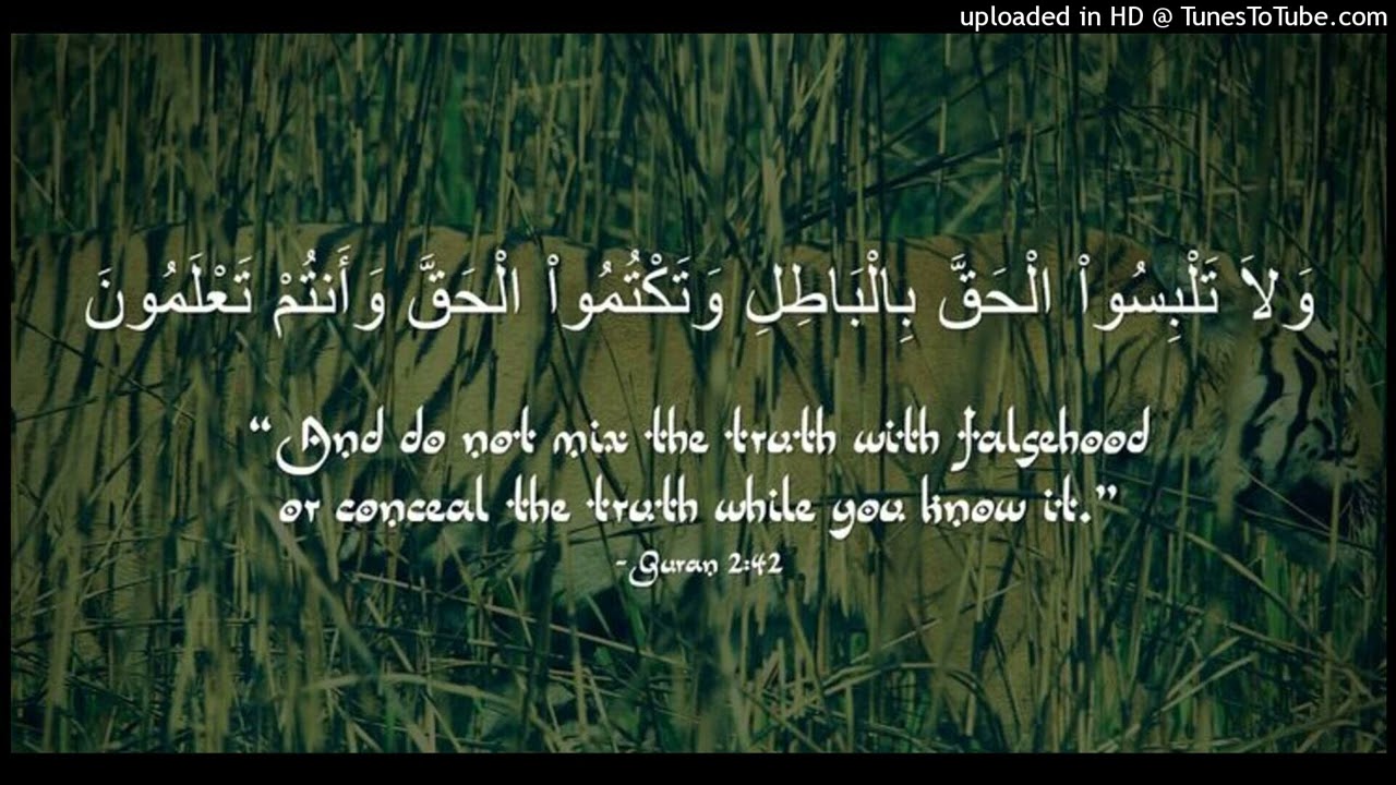 الشيخ حسن باشعيب حول ما قاله محمد المدخلي عن مقبل الوادعي