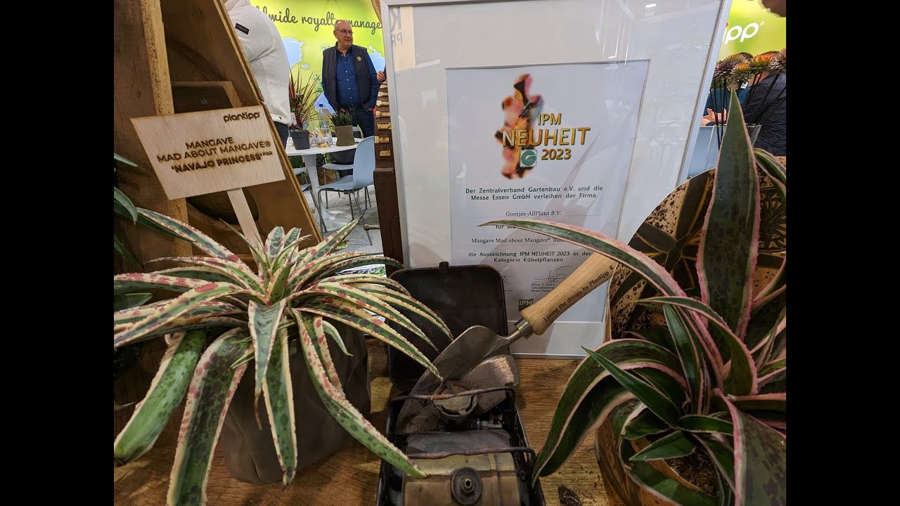 IPM Essen 2023 in review