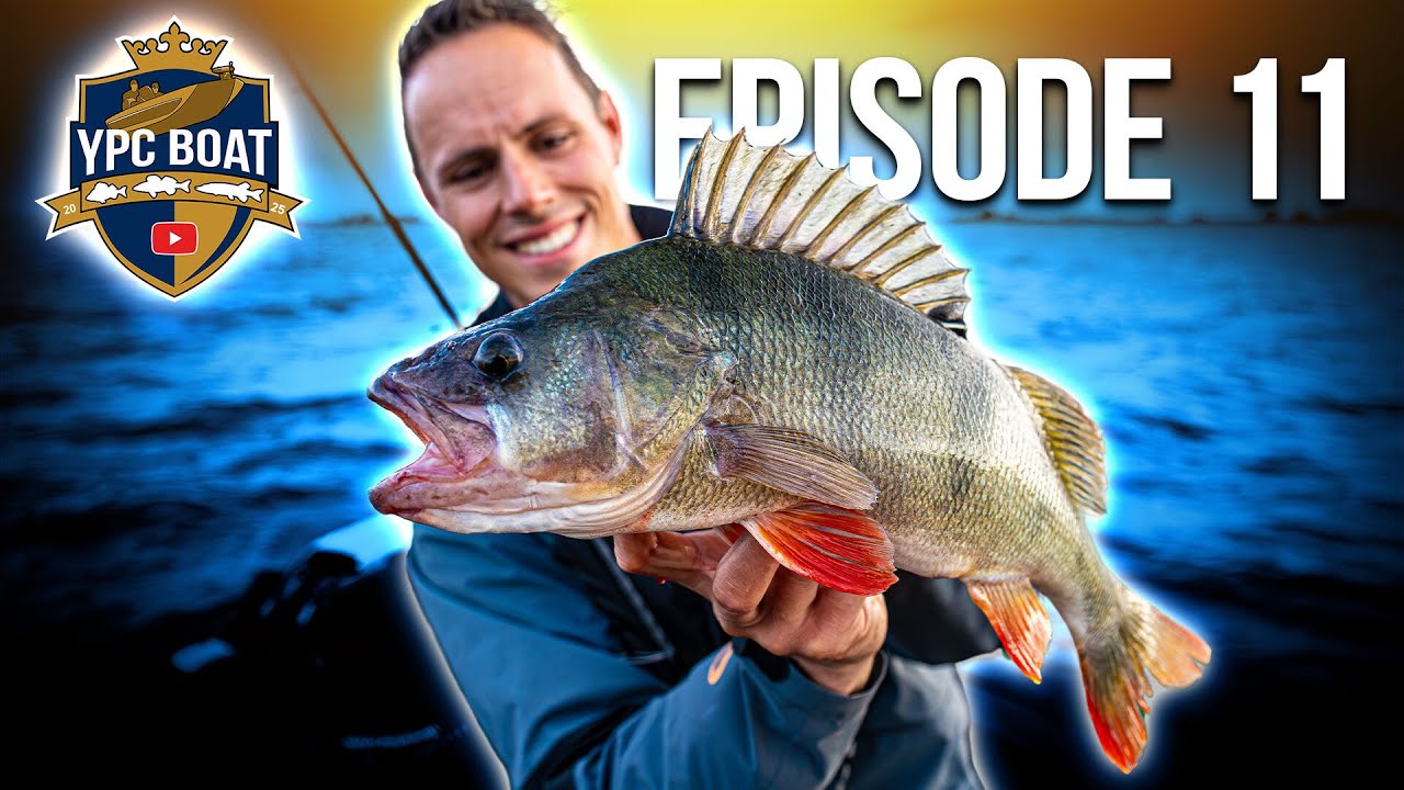 ZU VIELE Barsche - Angler müssen FLIEHEN! | YPC Boat 2025 Episode 11