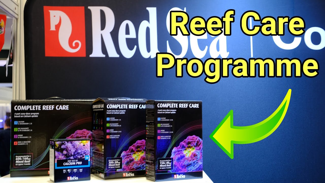 How The Red Sea Reef Care Programme Works | AquaH 2024
