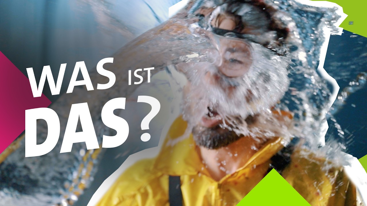Was baller ich dir ins Gesicht? Erkenne die Drinks!
