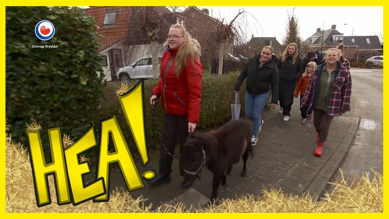 Met de pony naar de bakker | HEA!