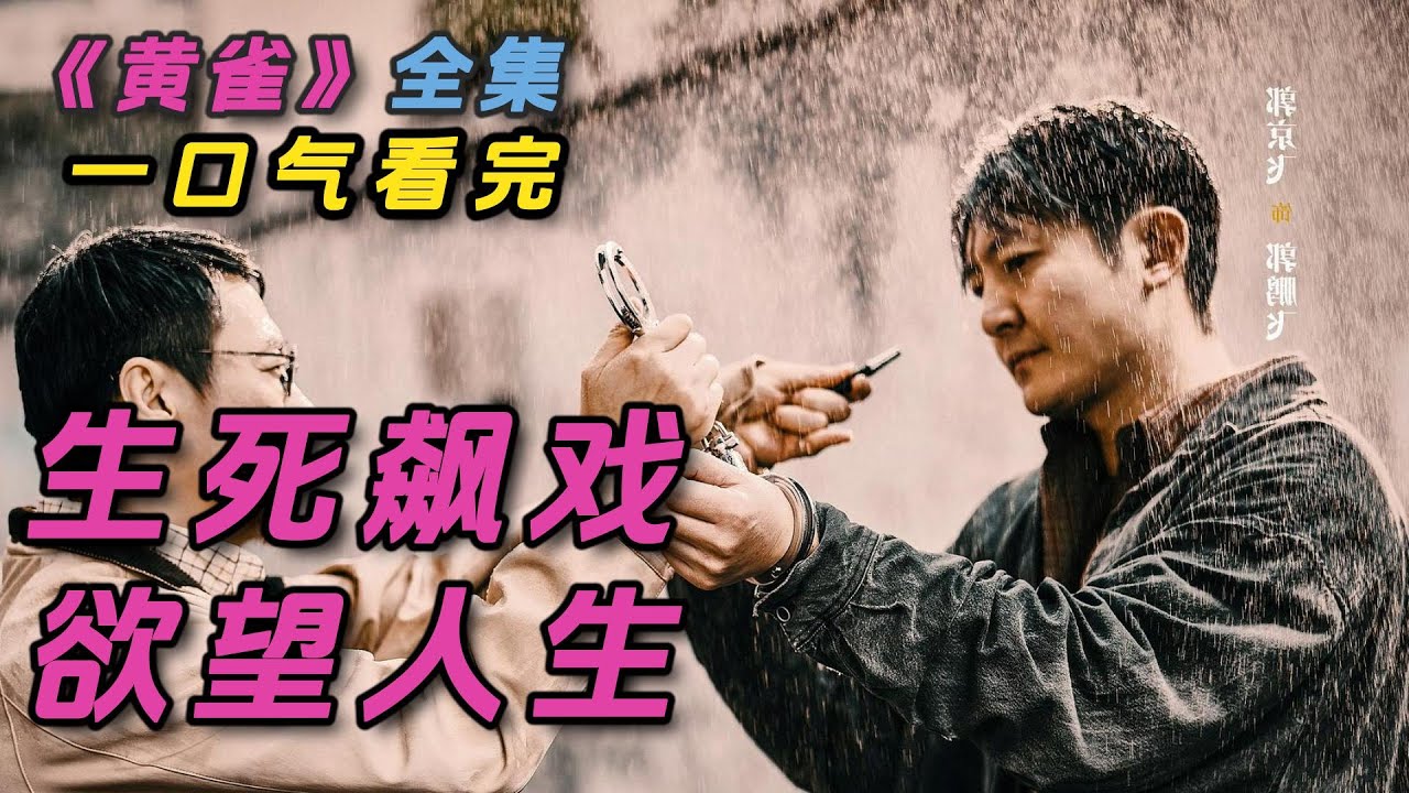 郭京飞秦岚最新悬疑剧！一口气看完《黄雀》#一口气看完系列 #悬疑 #电视剧2025