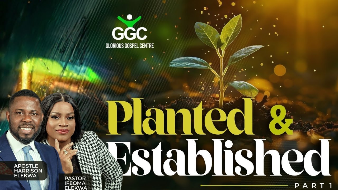 Planted And Established