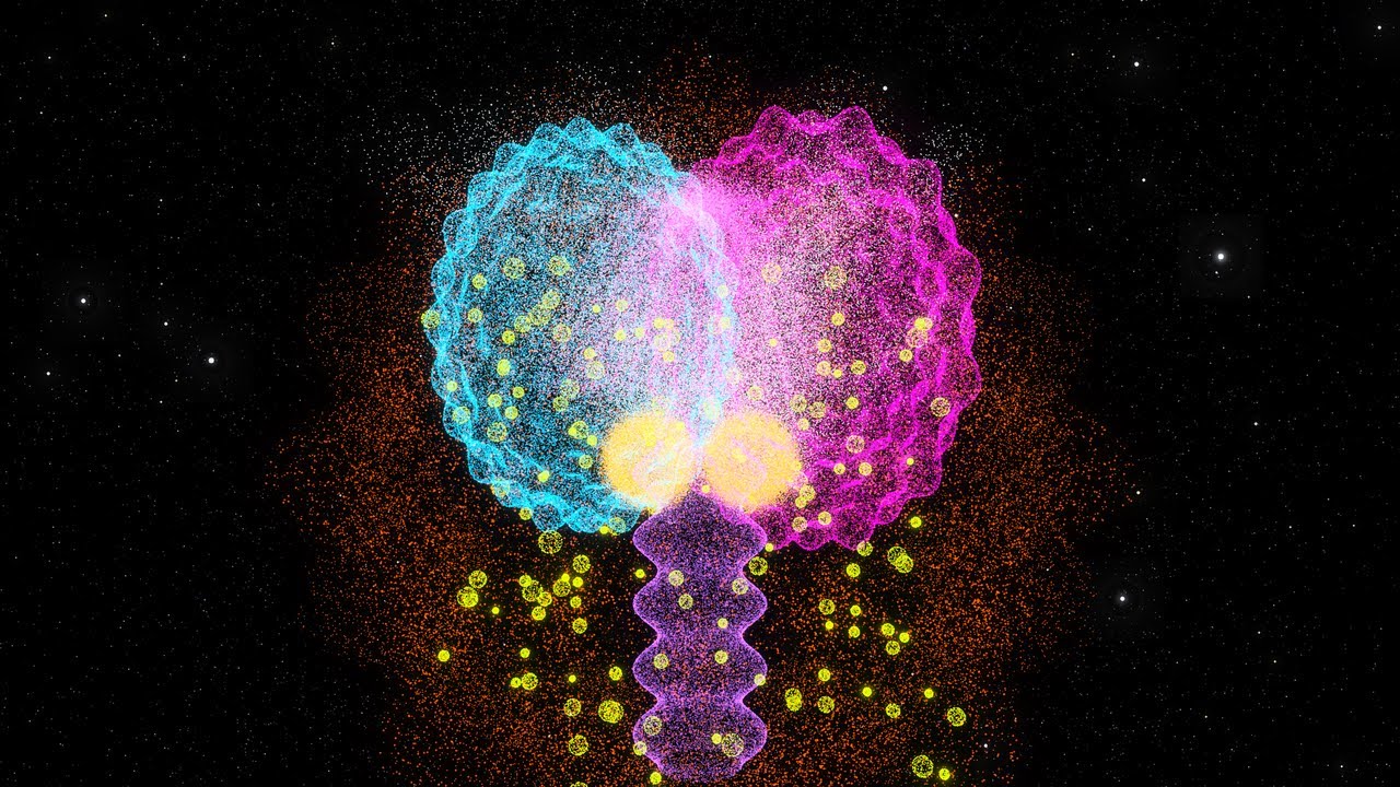 Attacchi d'ansia: cosa succede DAVVERO nel tuo cervello?
