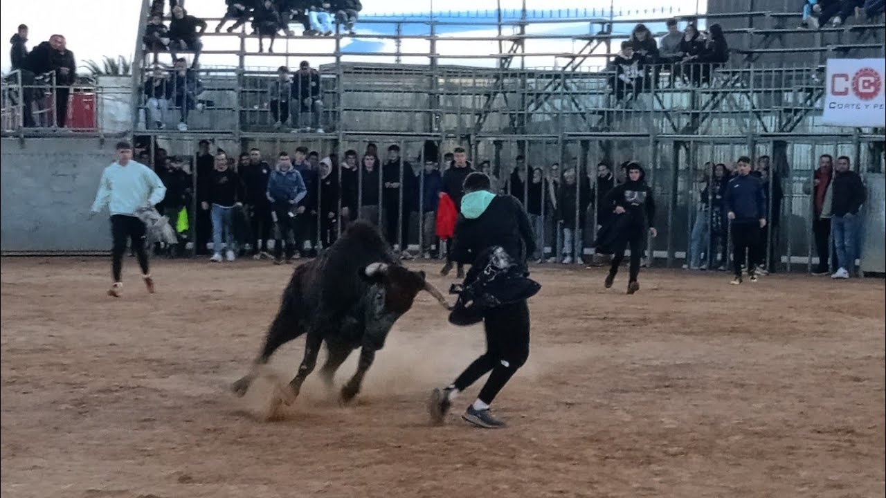 Gran tarde de Hnos. Cali 🐂| Feria de Invierno Puçol 2026 | ACT Hostalets y Finca Buenasombra
