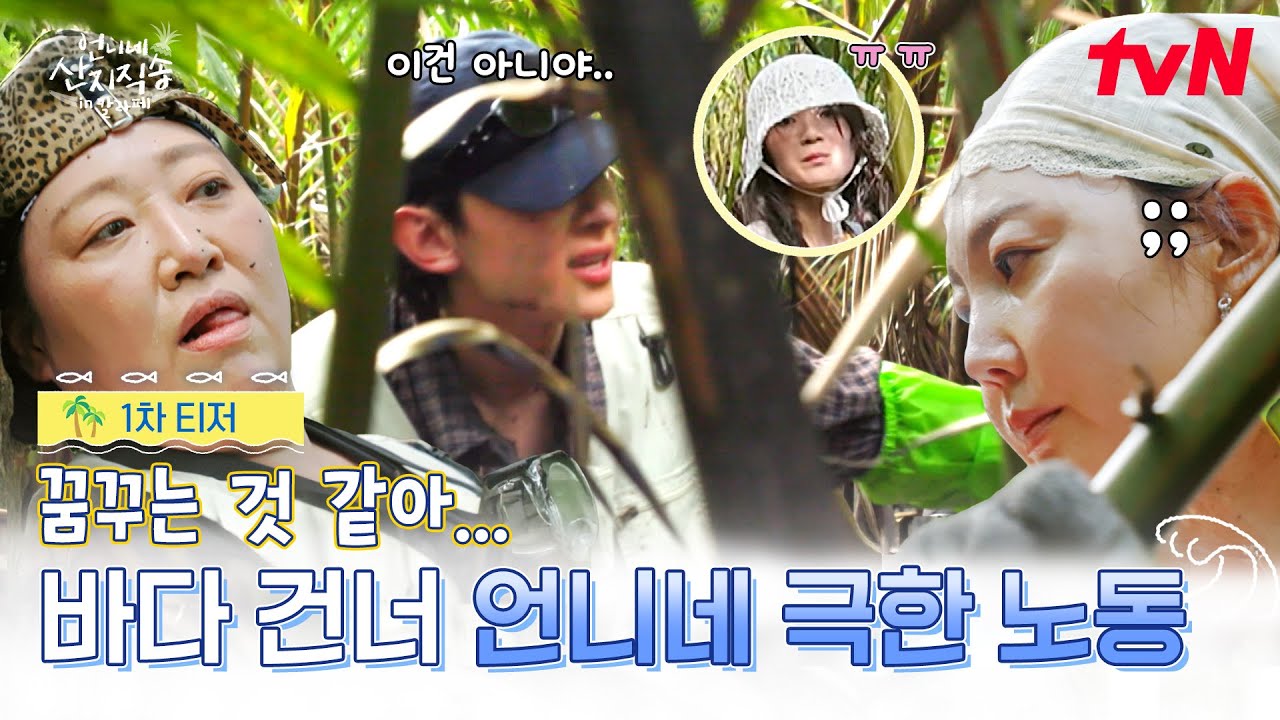 [1차 티저] 모두 지쳤나요? 네니요..🥲 언니네 첫 해외 직송 도전기! 4/16 [목] 커밍순🌴 #언니네산지직송in칼라페 EP.0