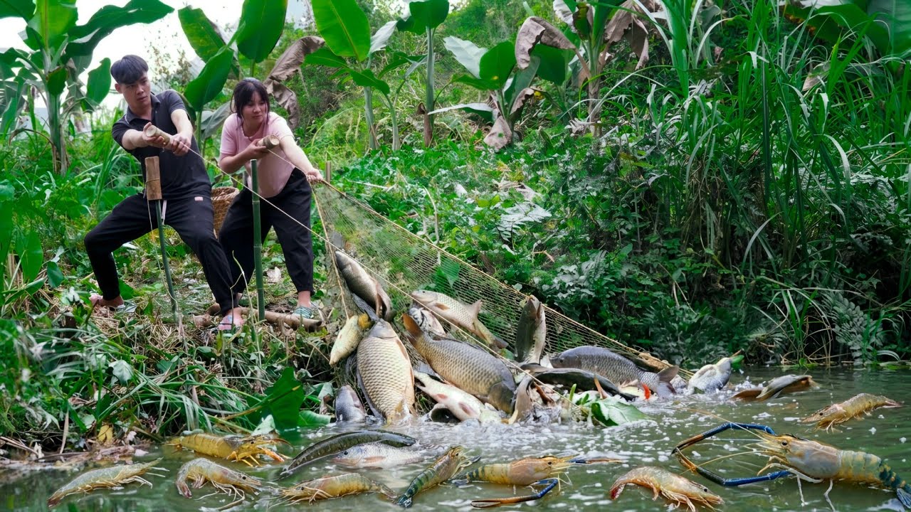 A traditional fishing method, catching large quantities of fish and selling them at the market.