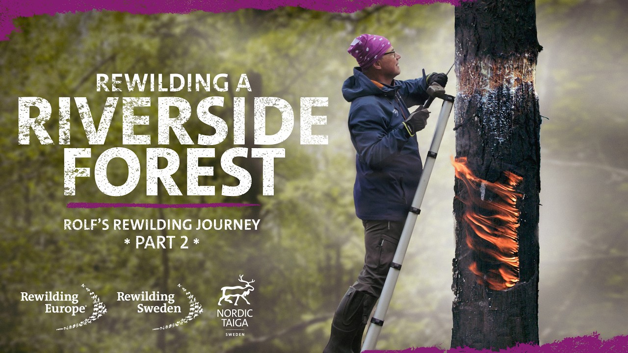 Rolf's Rewilding Journey, Pt. 2, &rdquo;Rewilding a Riverside Forest&rdquo;