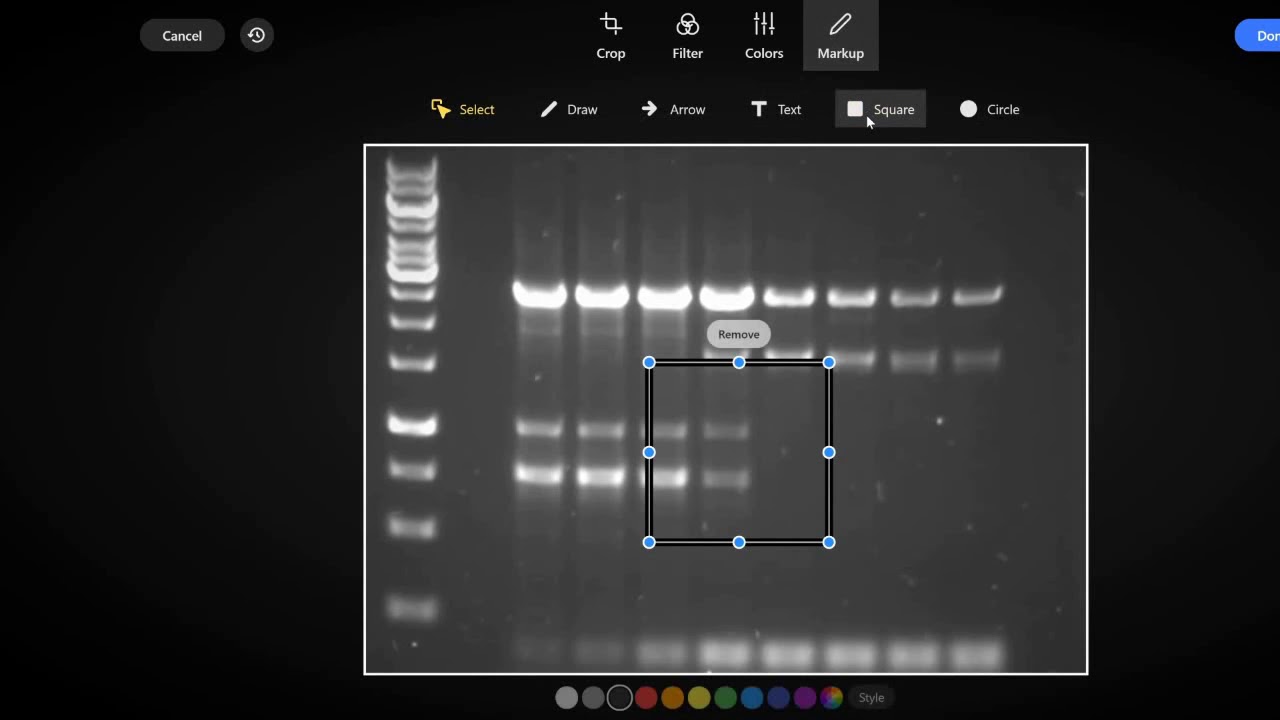 New image editing and annotation features on Labstep