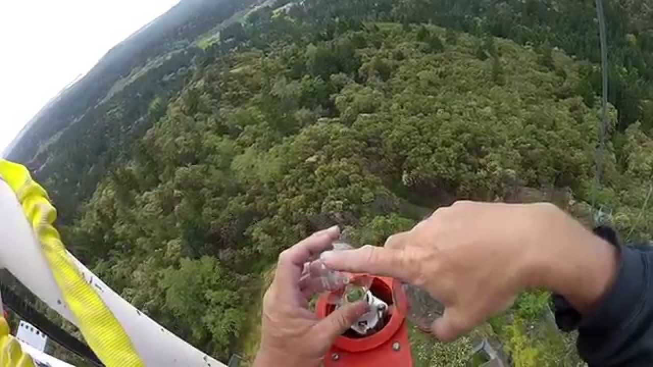 Changing of the Bulbs