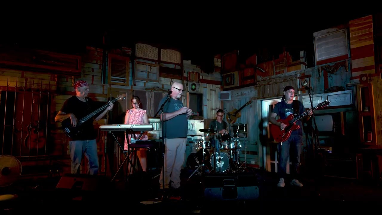 Walking Blues - performance by Robert Davis and BlueSpirit
