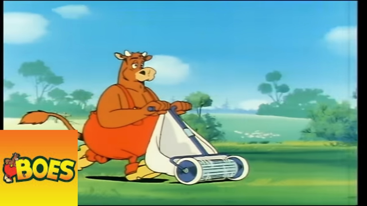 Scheer je schaap - Boes