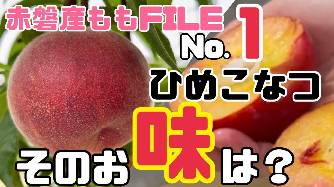 ♯112 【赤磐産モモFile No. 1】ひめこなつ【桃の品種紹介】