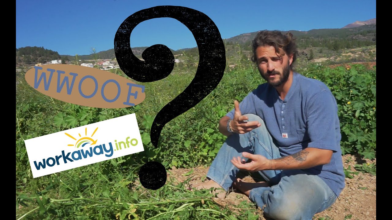 Workaway, WWOOF und UgH |  Infos, Unterschiede, meine Meinung