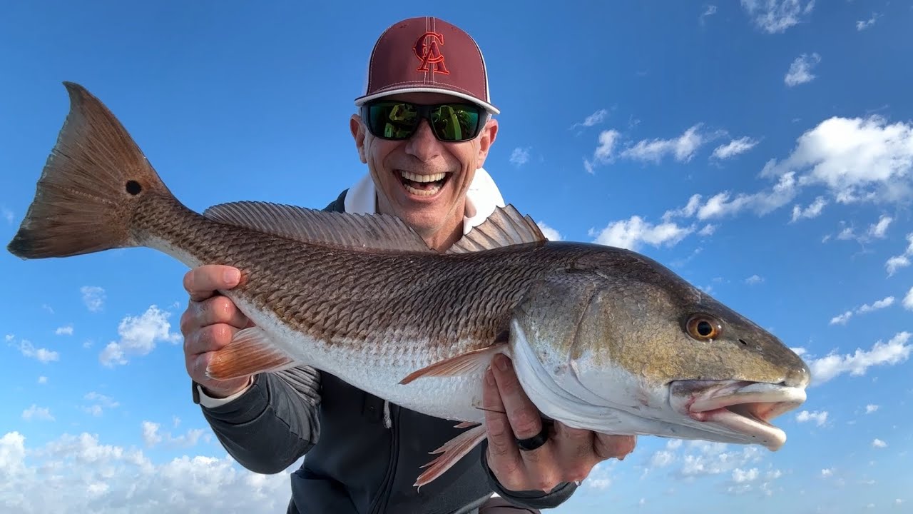 Over Slot Redfish in Mosquito Lagoon. March 15, 2026