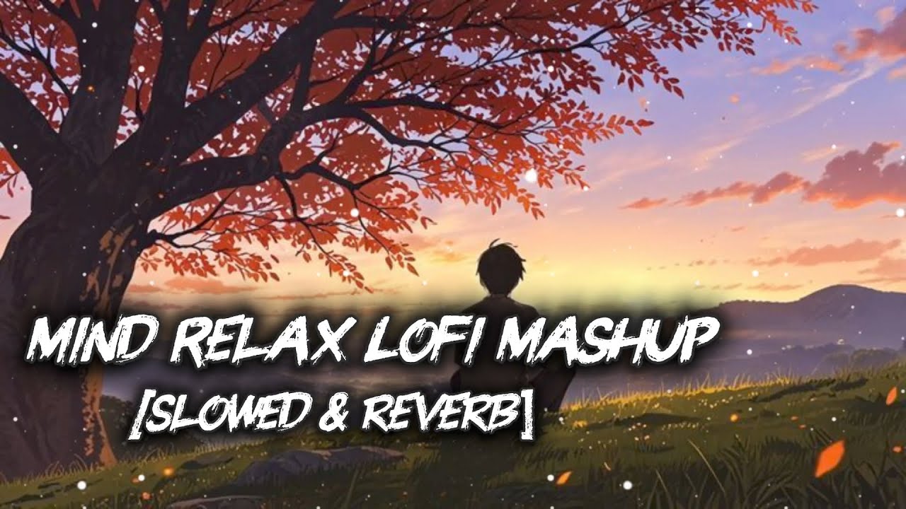 Dil Ki Shanti 🌙 | Mind Relax Lofi Mashup | Calm Night Chill Beat | Study & Sleep Music