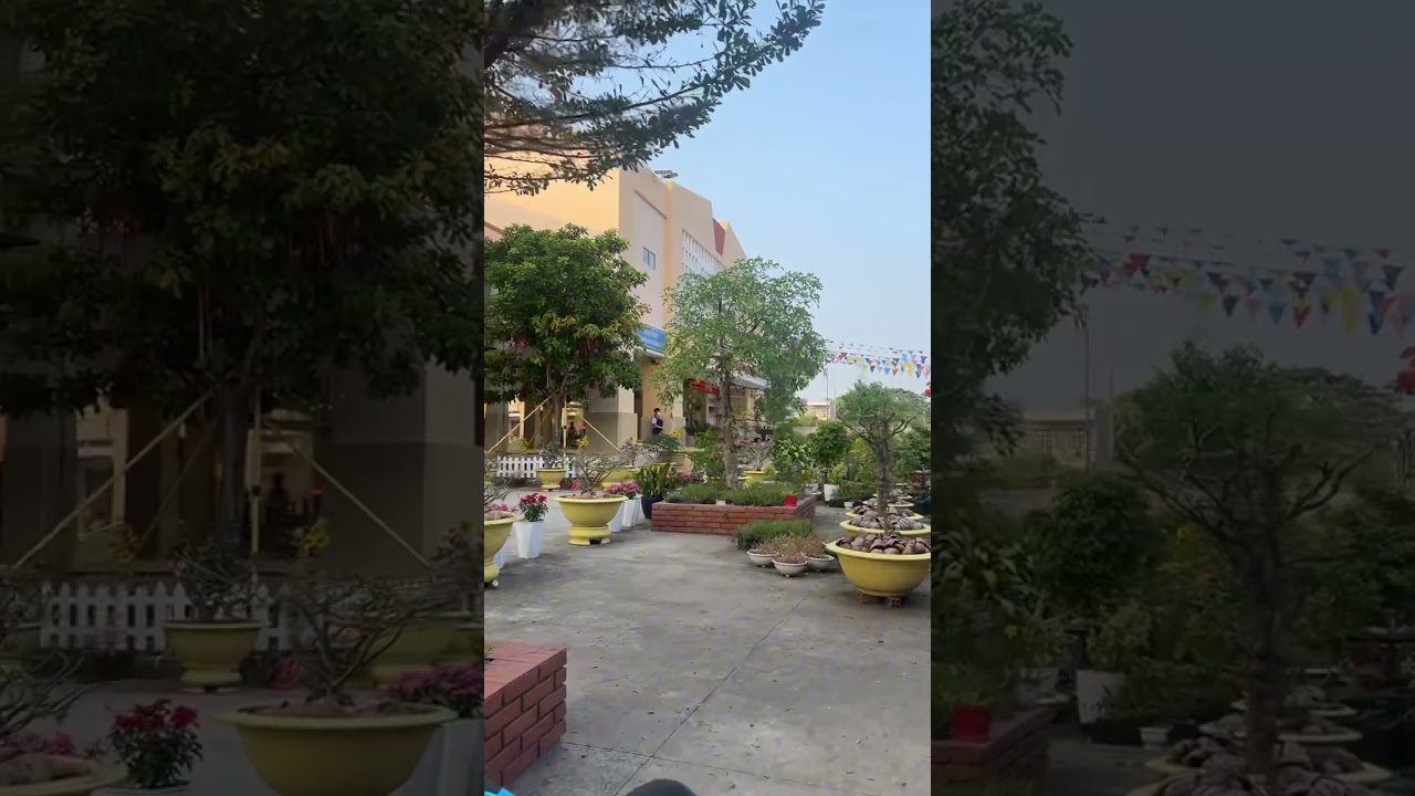 Những Điều Cần Lưu Ý Để Lần Đầu Vào Trường “ THCS HAI BÀ TRƯNG  “ Không Bị Quê.