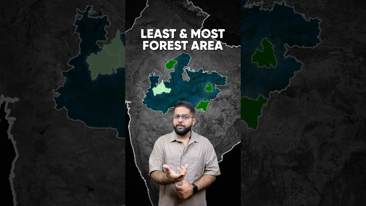 Forest Area of MP Districts 🤔