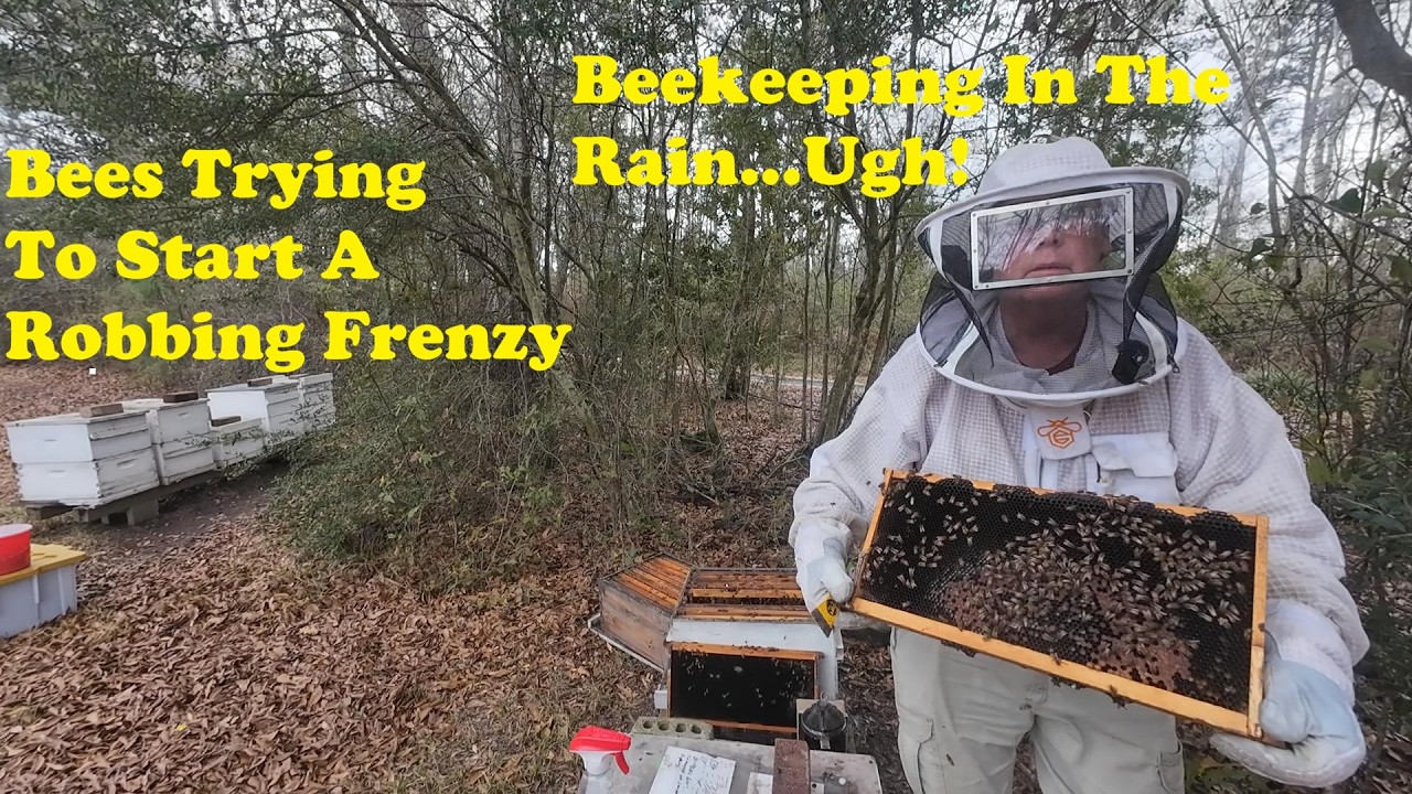 Assessing Beehives for 2026 | Challenges in the Apiary