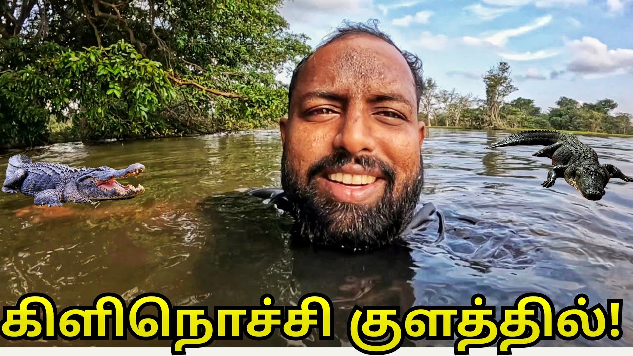 கழுத்து வரை தண்ணீர்!😱 கிளிநொச்சியின் பசுமையில் ஒரு நாள் Kilinochchi Village Life | Alasteen Rock