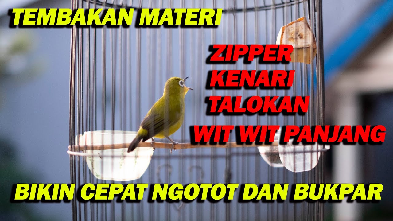PANCINGAN PLECI NEMBAK MATERI ZIPPER , KENARI , WIT WIT PANJANG , TALOKAN BIKIN CEPAT BUKPAR