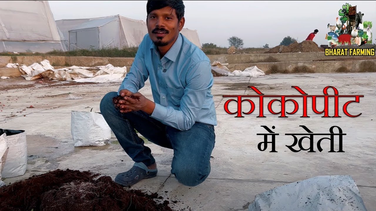 क्यों करे कोकोपिट में खेती || Why Use Cocopeat in Gardening | Farming 🪴🌻🔥