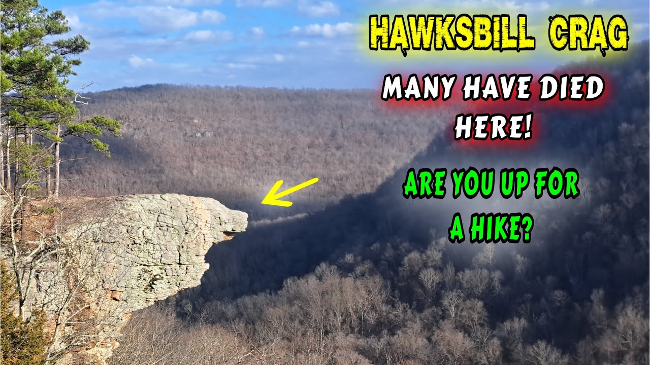 THIS MAY NOT BE FOR YOU! DEADLY ARKANSAS HIKE!| hiking, couple builds, homesteading, off-grid |
