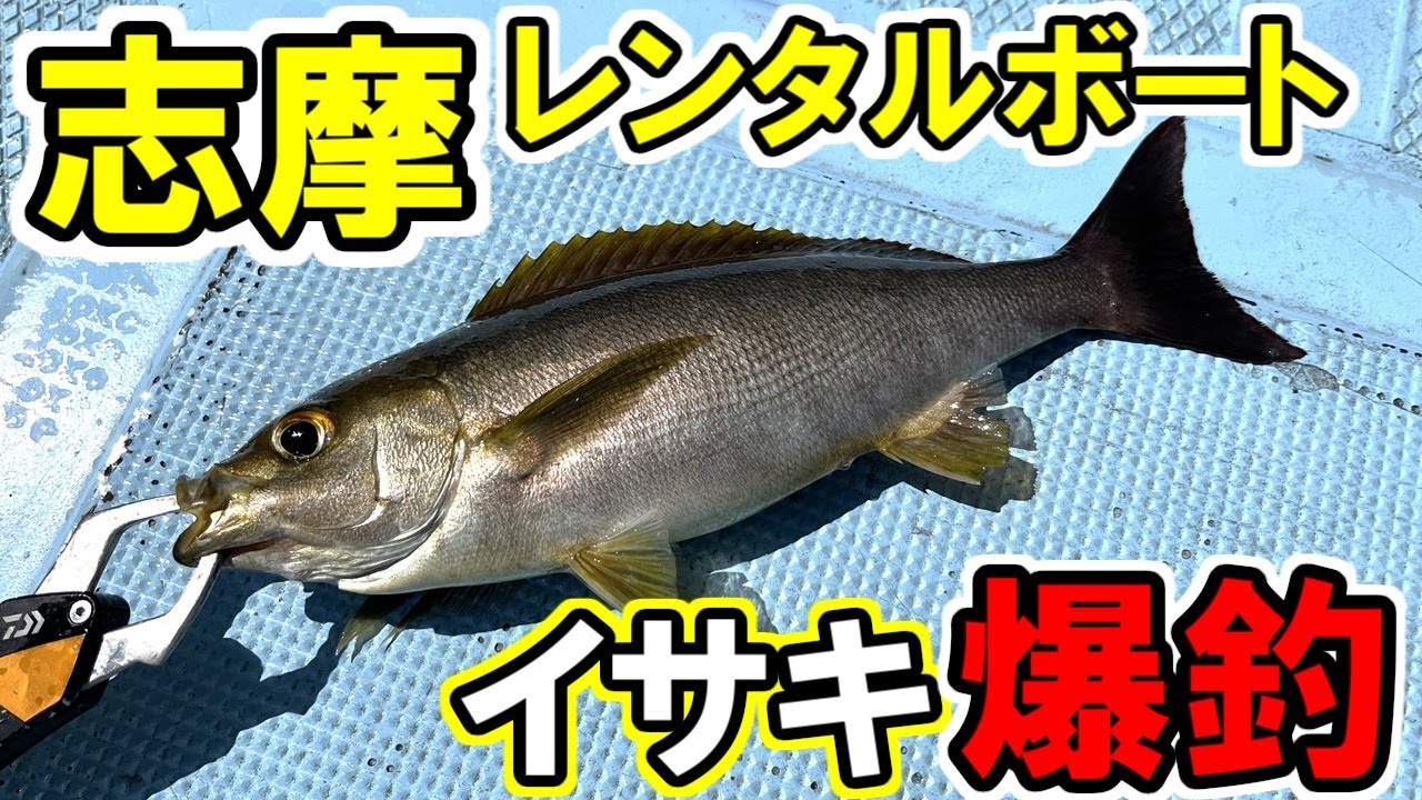 志摩のレンタルボートでイサキが連発【長久マリン】