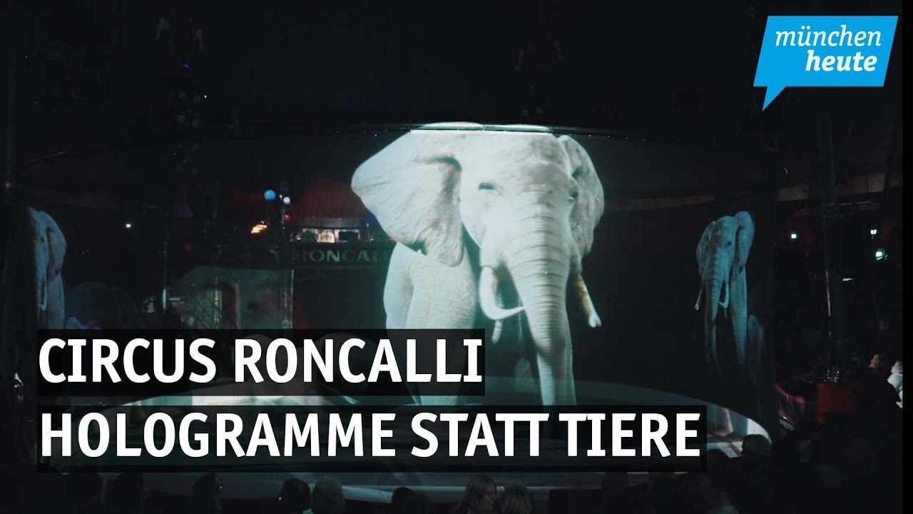 Circus Roncalli zurück in München: Hologramme statt Tiere