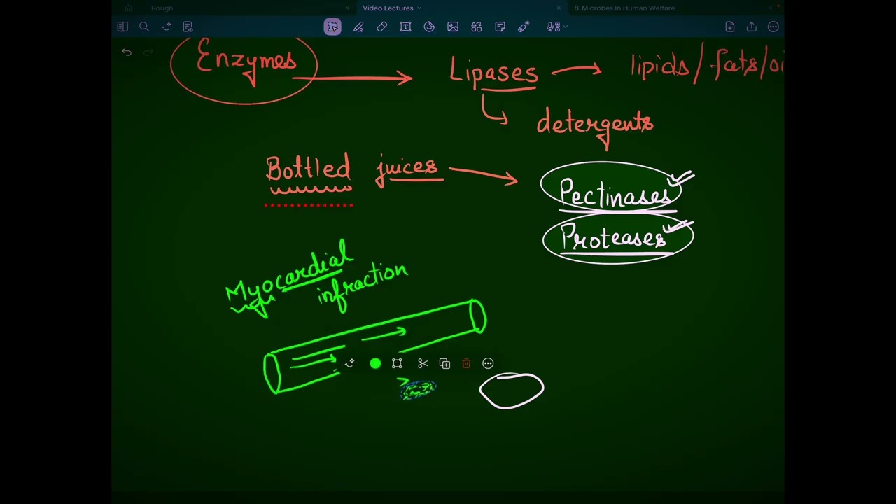 Enzymes, alcohol and other bioactive molecules