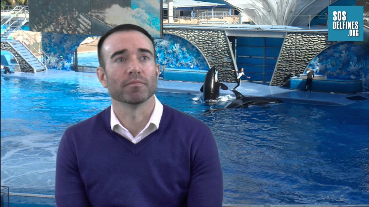 SOSdelfines entrevista al ex-adiestrador de orcas John Hargrove