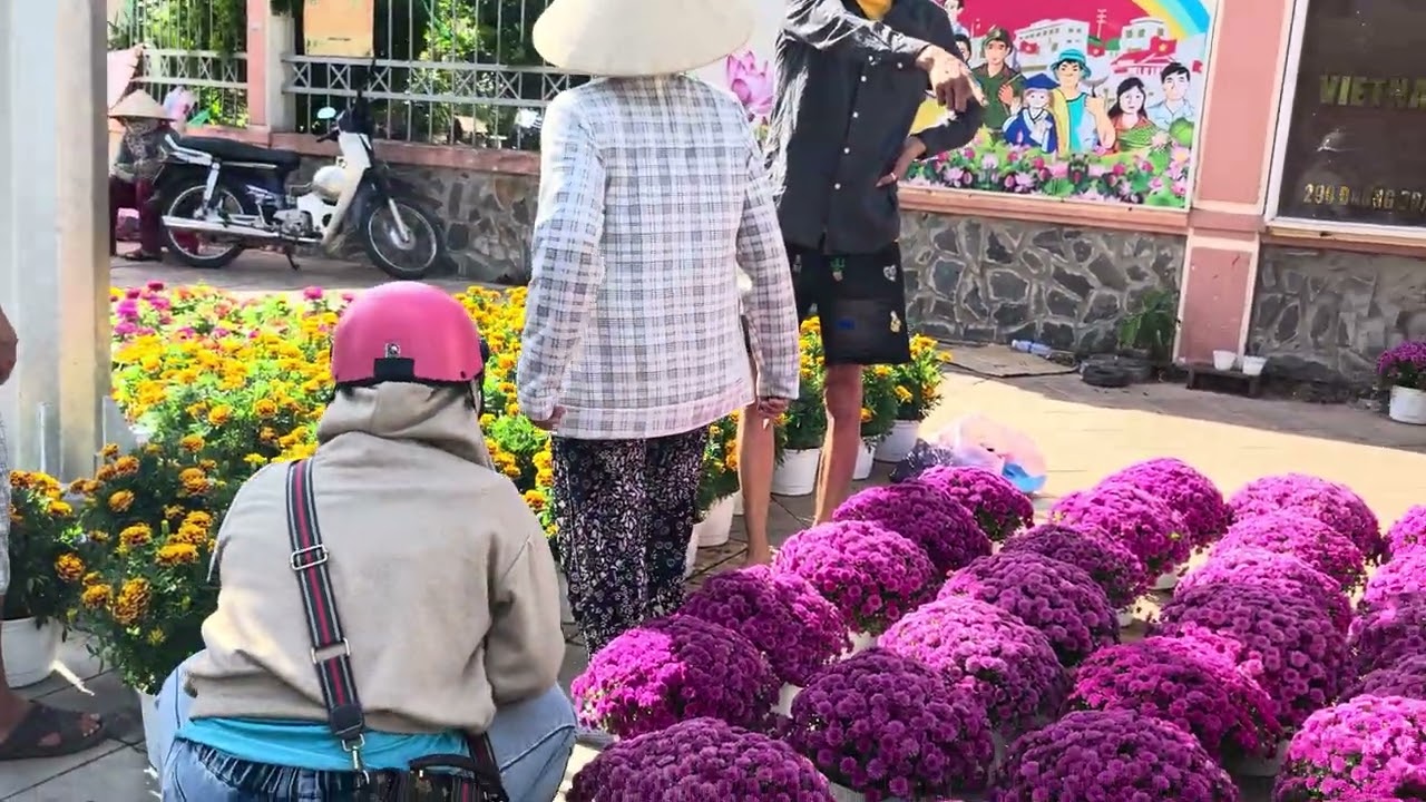 Cần Thơ Chợ hoa Tết ngày 29 /2025 / 2026