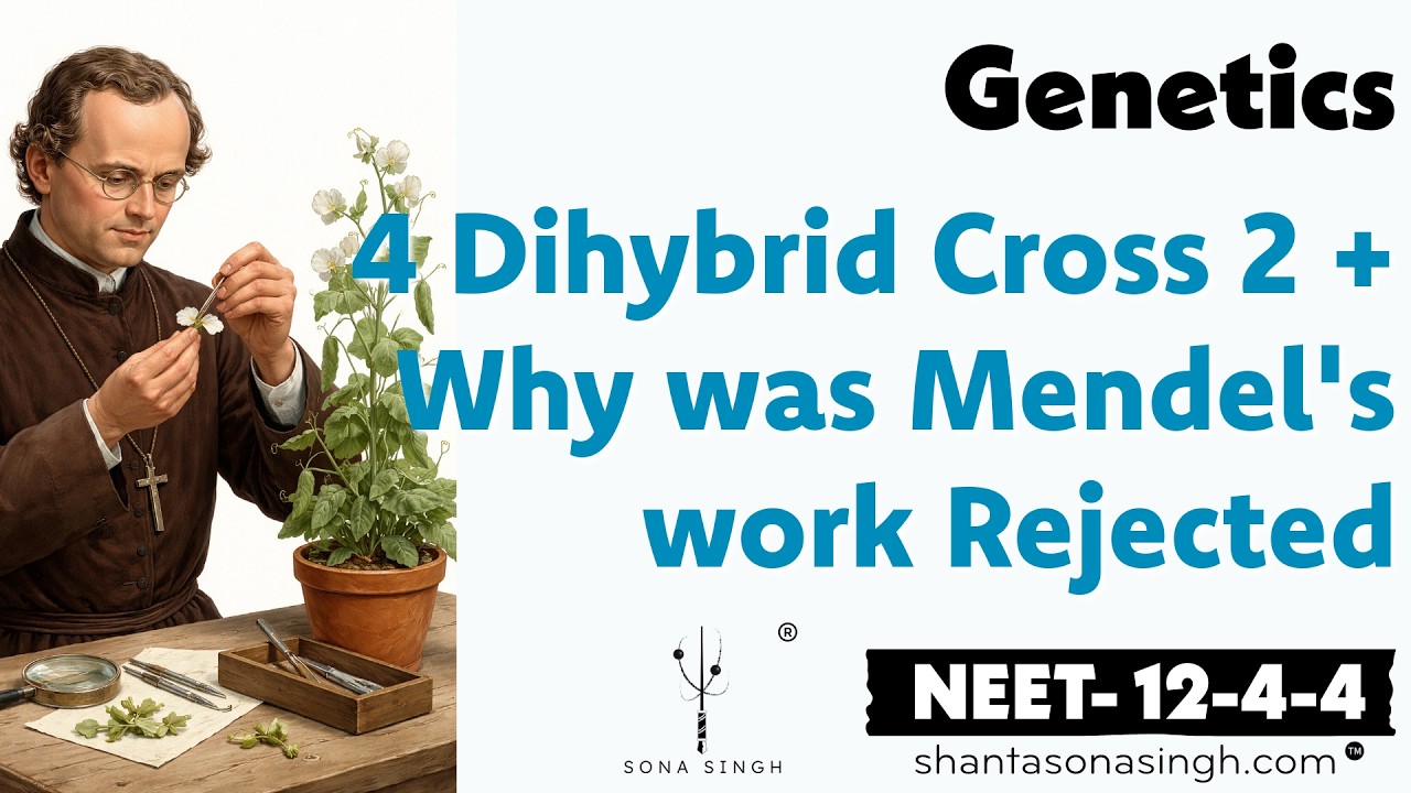 Dihybrid Cross 2 | Genetics 4 | NCERT Mapped NEET Biology