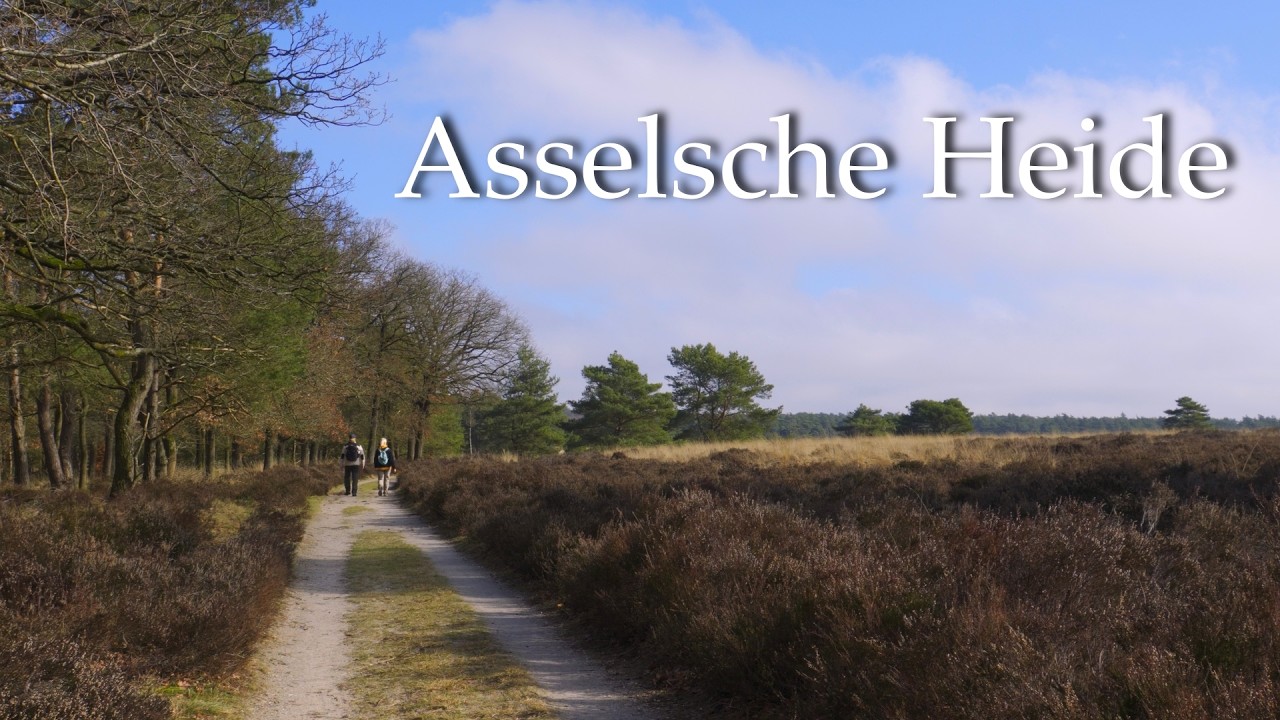 Silent Hiking Asselsche Heathland