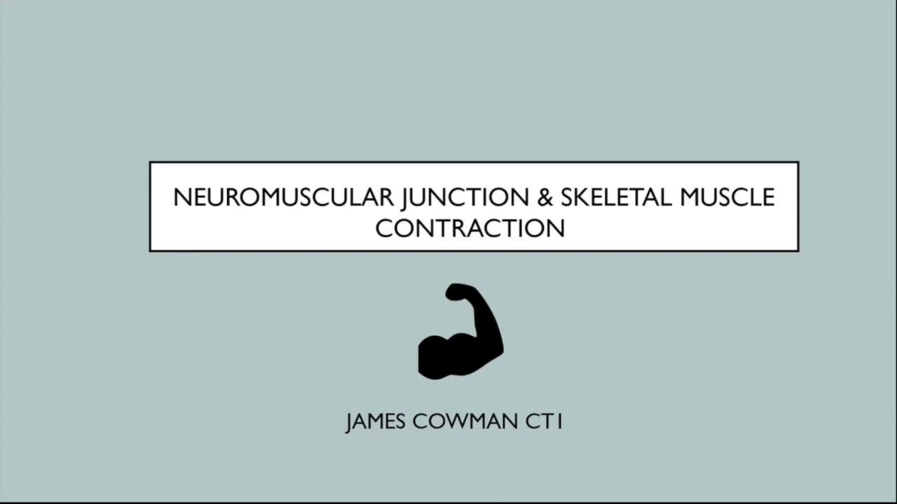 Neuromuscular junction physiology - FRCA Primary