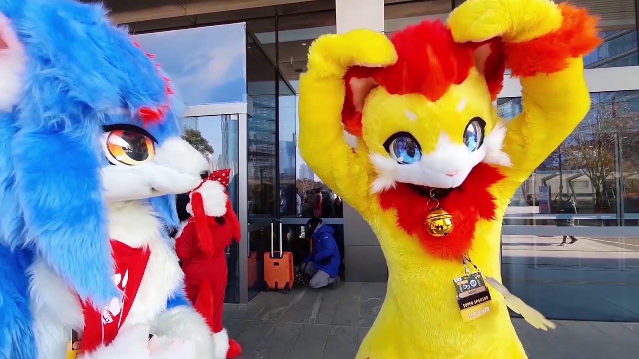 FurryJOA(Furry Joining of Asia) Random Clips // 퍼리조아