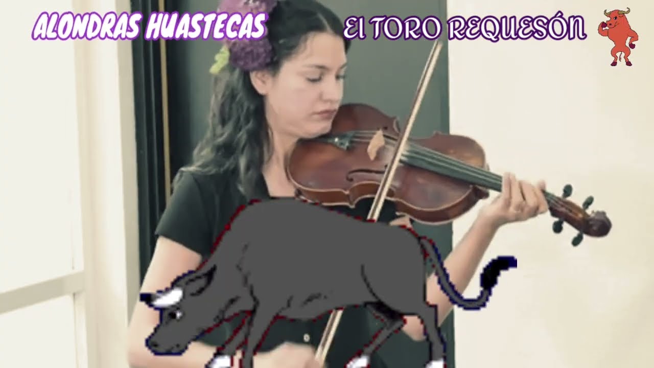 EL TORO REQUESÓN | Alondras Huastecas 2022