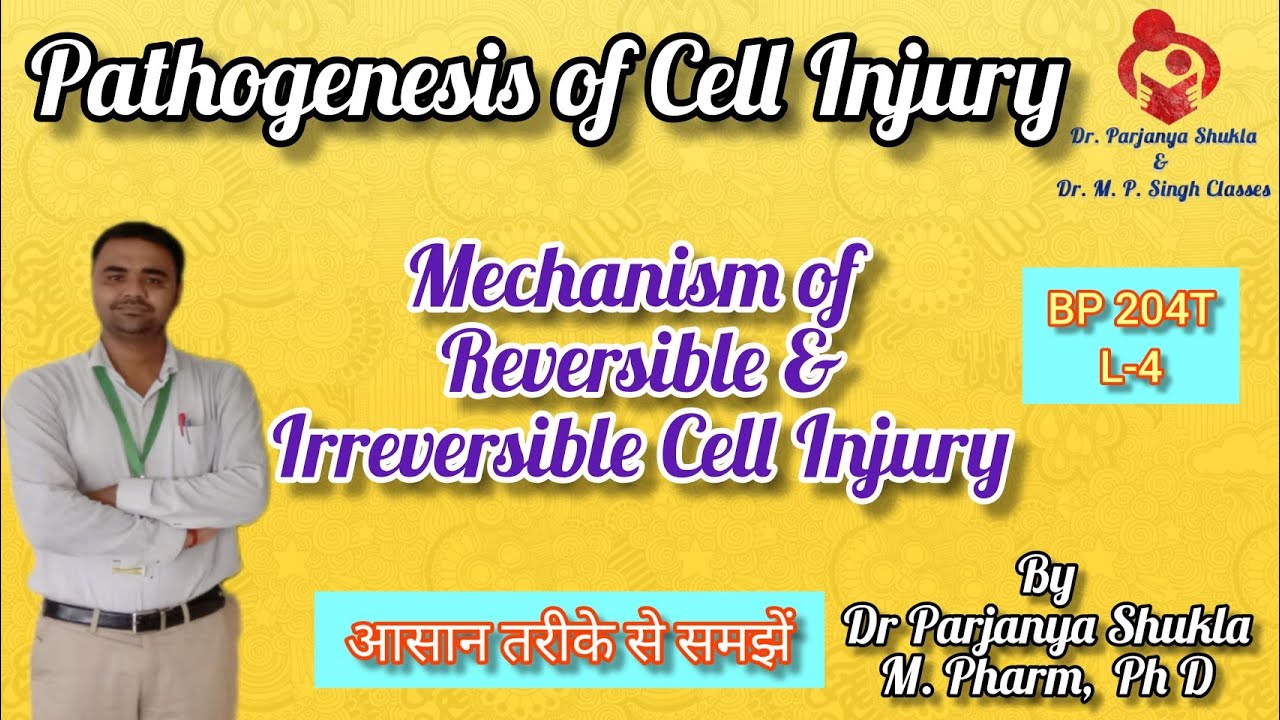 Pathogenesis of Cell Injury | Mechanism of Reversible and Irreversible Cell Injury | BP 204T L-4