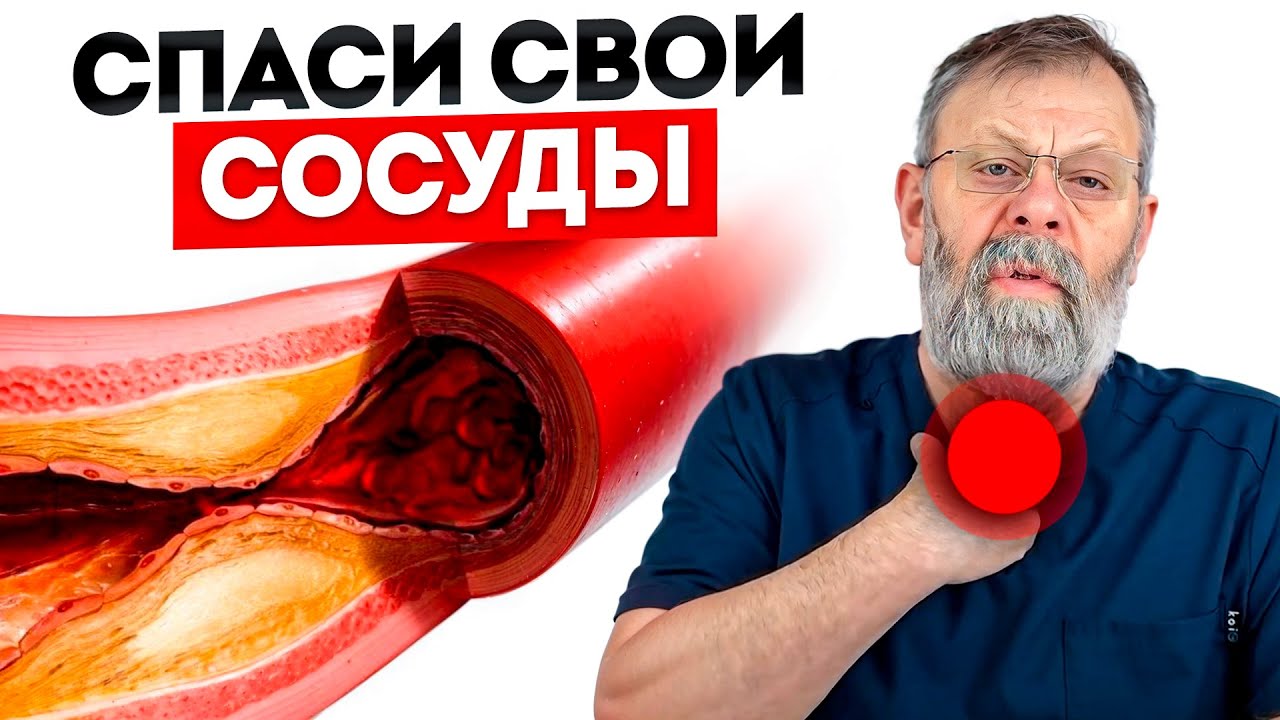 5 ЗОН ДЛЯ СПАСЕНИЯ СОСУДОВ
