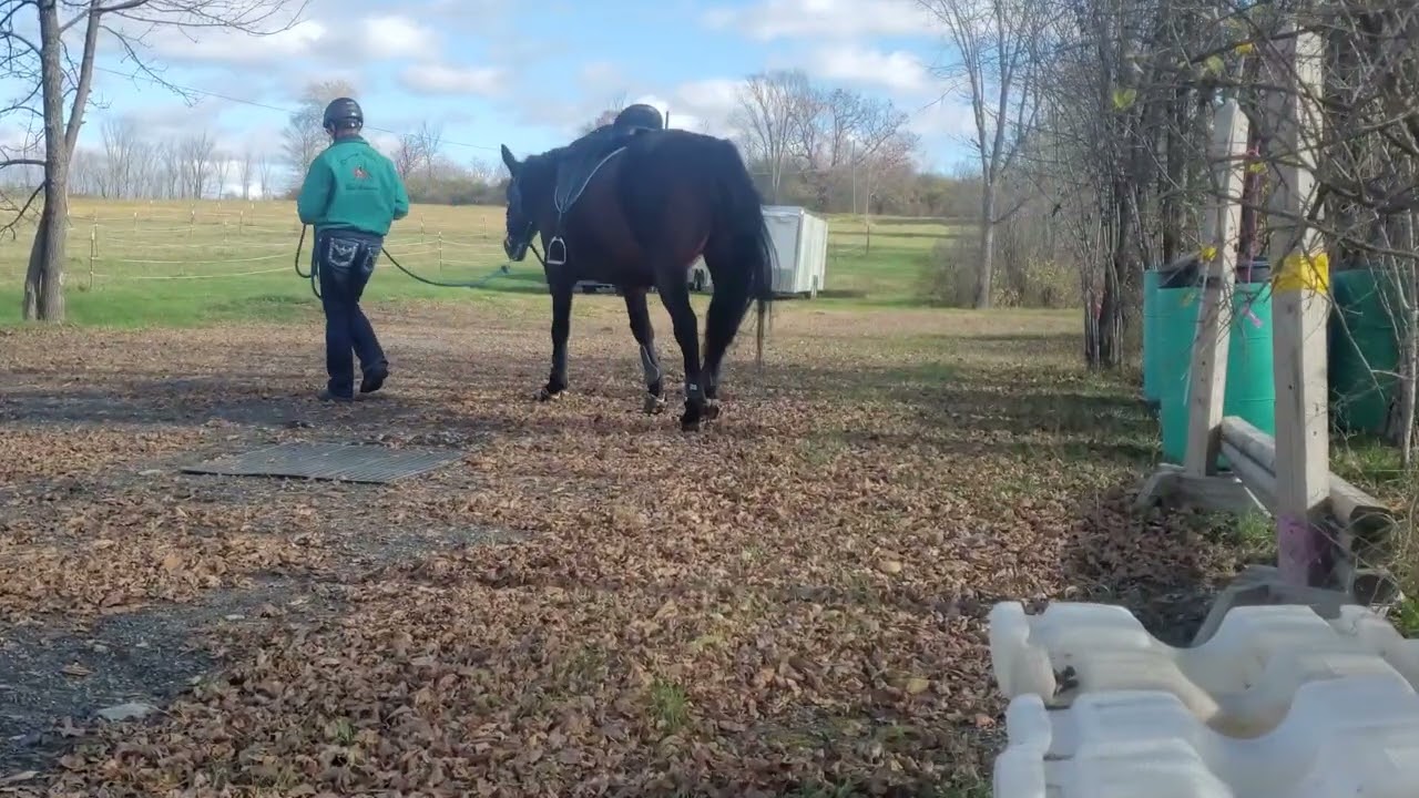 2025 Nov Equagility Lilith T. L.   Indigo