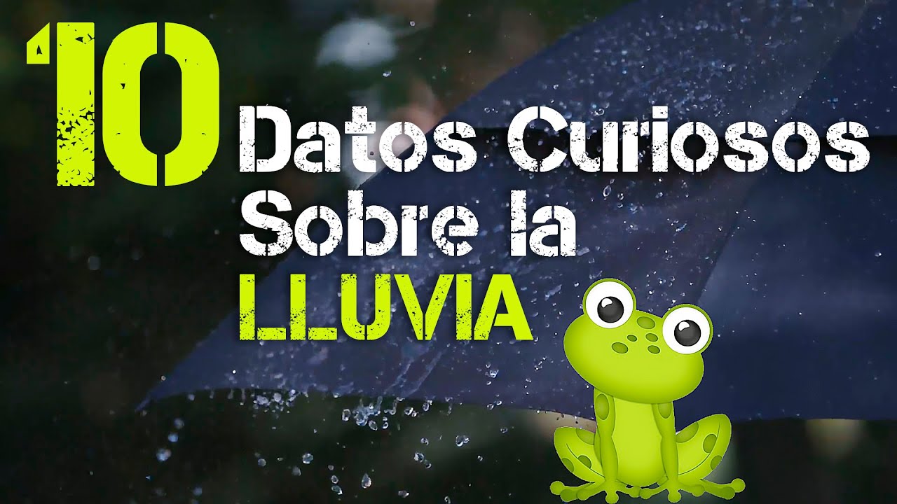10 Datos Curiosos Que Tal Vez Desconocías Sobre la Lluvia | Somos Curiosos