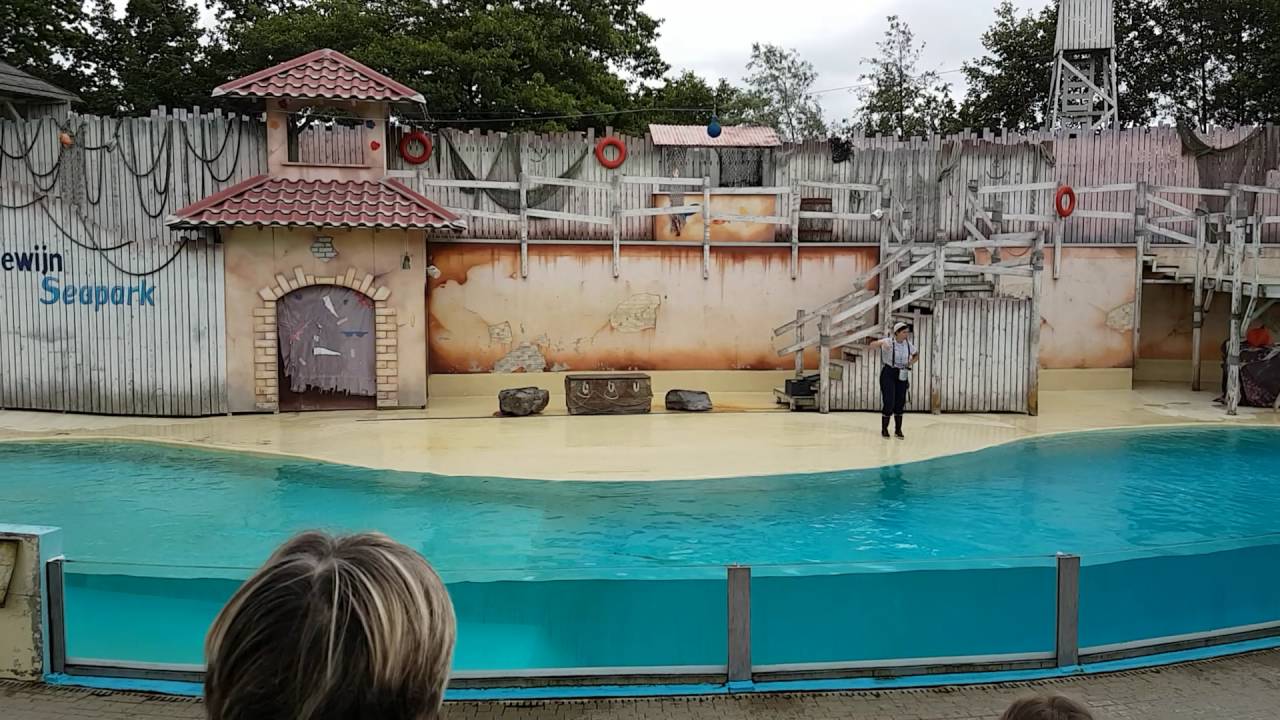 Zeeleeuwenshow @ Boudewijn Seapark