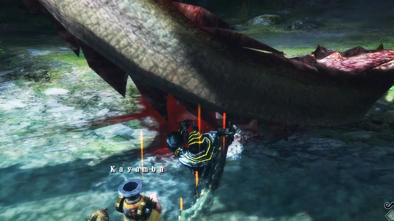 Monster Hunter  3 U - G-Rank Pink Rathian
