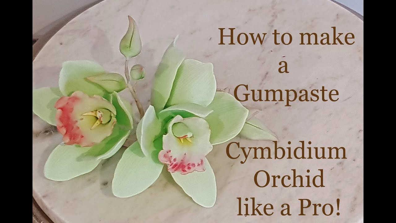 How to make a Cymbidium Orchid like a Pro!