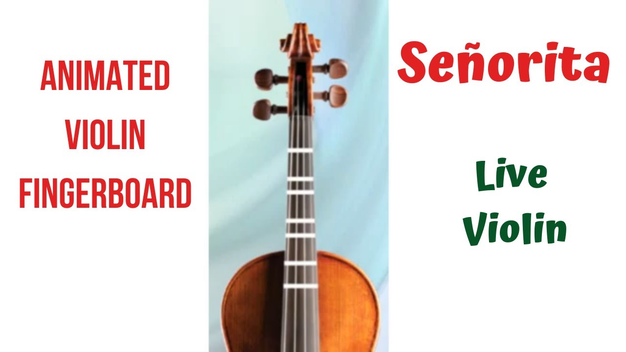 SEÑORITA 💃(SENORITA)Animated Violin FINGERBOARD | Live VIOLIN Cover| Medium tempo | Mendes & Cabello
