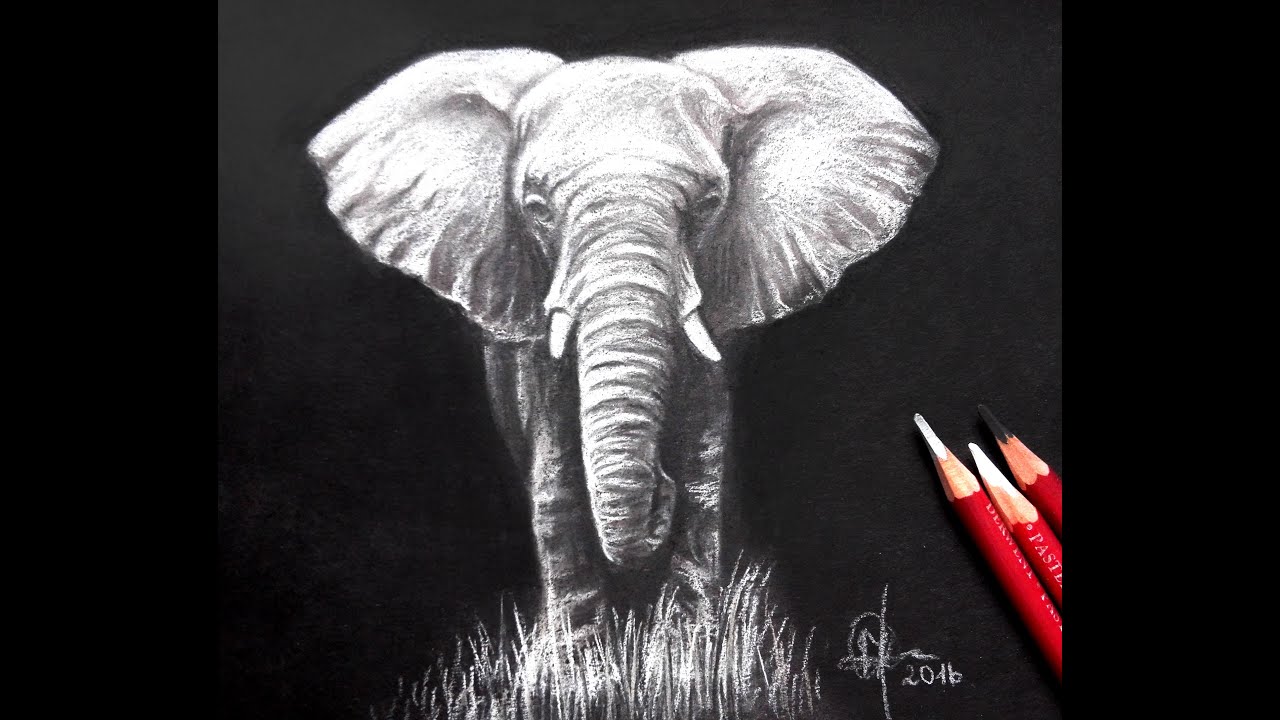 Drawing an elephant on black paper