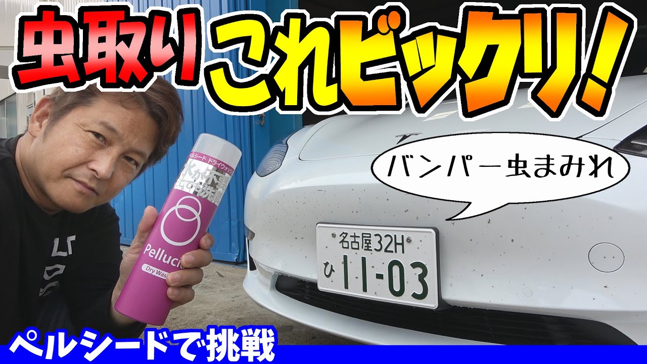 車の虫取り｜ペルシードを使ったらビックリした！