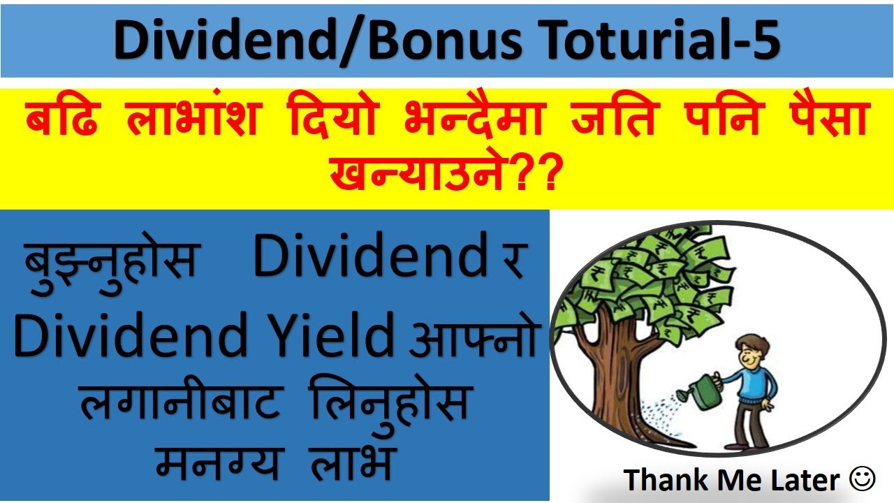 Yield vs Dividend Yield Vs Dividend | How to invest wisely? Investment tips for beginner